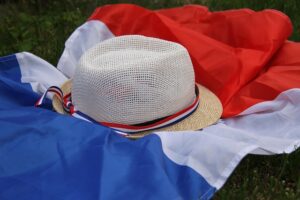 Innovasjon og Subsidier i Norge